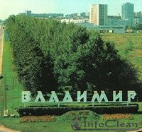 Штрафы или клининг? Трудный выбор владимирских бизнесменов.