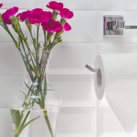 Пресс-релиз: Tork запускает новую ультра-мягкую туалетную бумагу премиум-класса