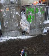 Россия очистится от мусора уже к 2032г