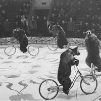 Стандарты на рынке фасилити или Зачем каждому «медведику» по «велосипедику»?
