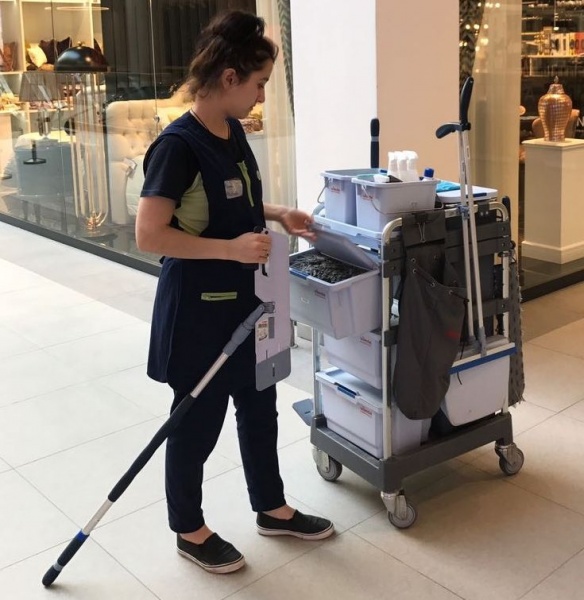 vileda professional